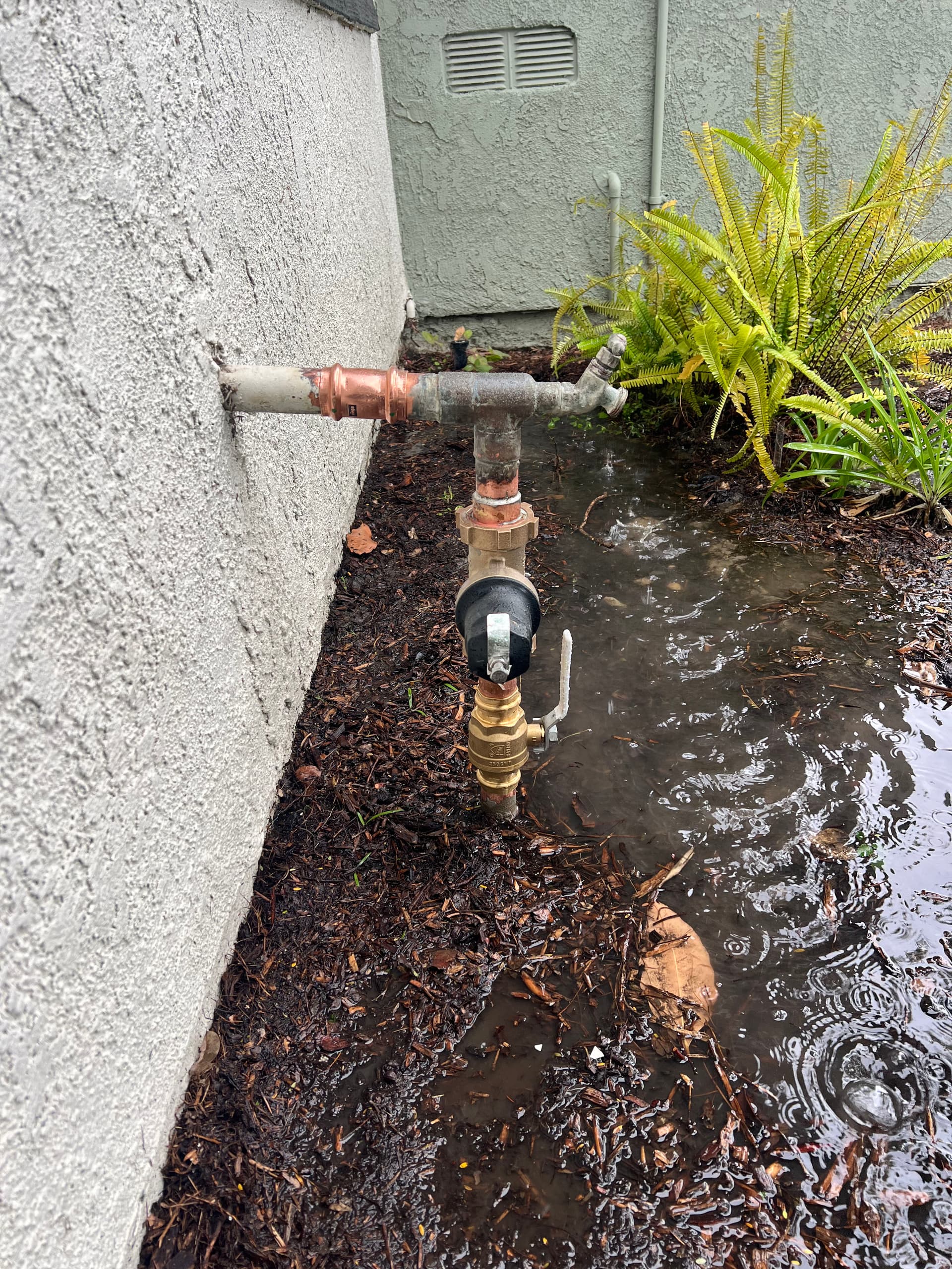 Commercial Plumbing Solution with Pressure Regulator Installation